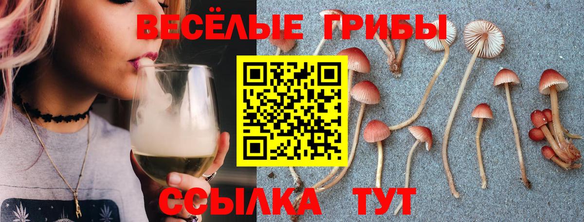 Галлюциногенные грибы MAGIC MUSHROOMS  Вход с VPN  Галлюциногенные грибы MAGIC MUSHROOMS  Сочи 