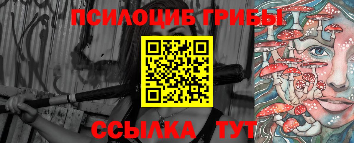 Псилоцибиновые грибы Cubensis Сочи